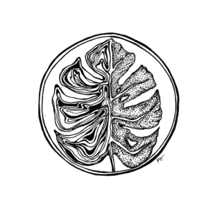 Art print for home decor of a black and white abstract line drawing of an image of an abstract monstera plant leaf in a circle.